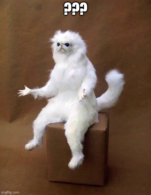 Confused monkey | ??? | image tagged in confused monkey | made w/ Imgflip meme maker