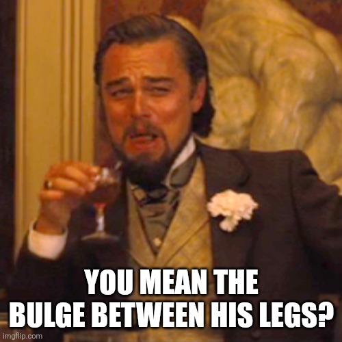 Laughing Leo Meme | YOU MEAN THE BULGE BETWEEN HIS LEGS? | image tagged in memes,laughing leo | made w/ Imgflip meme maker