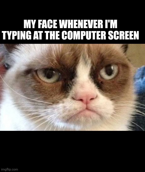 Computer screen | MY FACE WHENEVER I'M TYPING AT THE COMPUTER SCREEN | image tagged in angry cat,social media,work | made w/ Imgflip meme maker