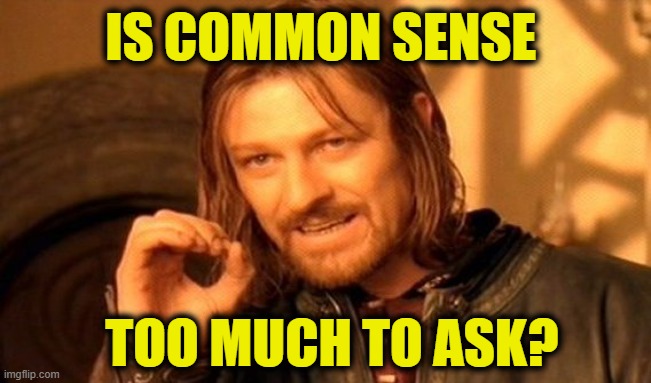 More Leftist Logic | IS COMMON SENSE; TOO MUCH TO ASK? | image tagged in memes,one does not simply | made w/ Imgflip meme maker