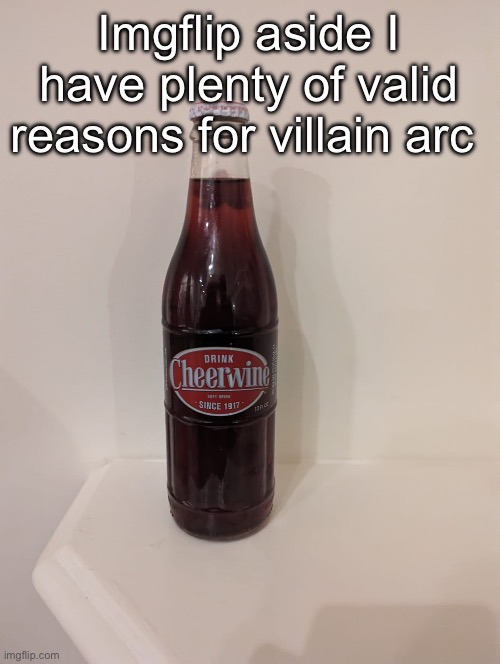 Cheerwine | Imgflip aside I have plenty of valid reasons for villain arc | image tagged in cheerwine | made w/ Imgflip meme maker