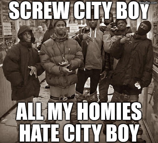 worst meme of 2026 so far | SCREW CITY BOY; ALL MY HOMIES
HATE CITY BOY | image tagged in memes,all my homies hate | made w/ Imgflip meme maker