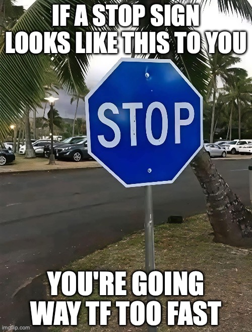 Stop Shift | IF A STOP SIGN LOOKS LIKE THIS TO YOU; YOU'RE GOING WAY TF TOO FAST | image tagged in physics,lol | made w/ Imgflip meme maker