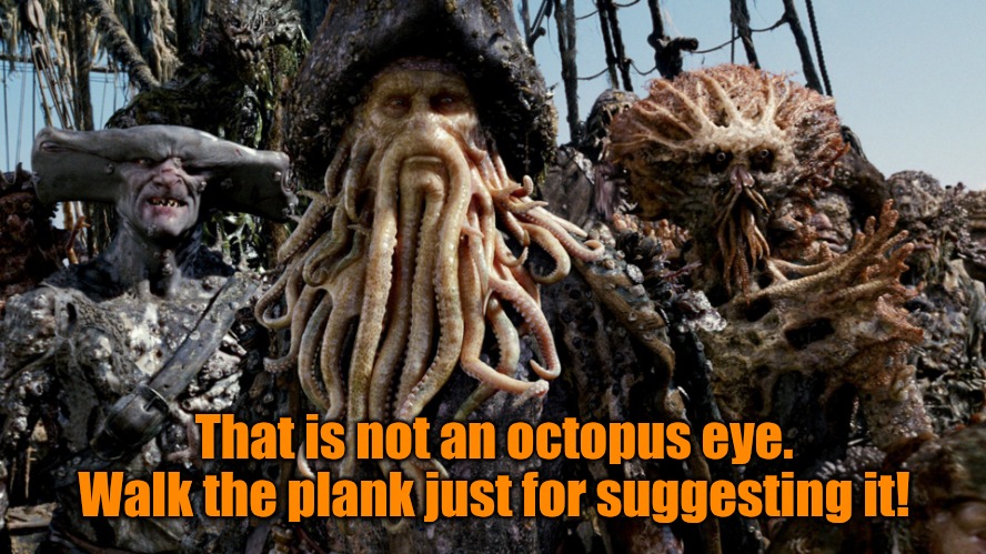 That is not an octopus eye. Walk the plank just for suggesting it! | image tagged in octopus pirate | made w/ Imgflip meme maker