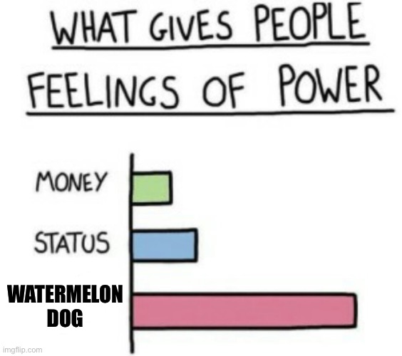 What Gives People Feelings of Power | WATERMELON DOG | image tagged in what gives people feelings of power | made w/ Imgflip meme maker