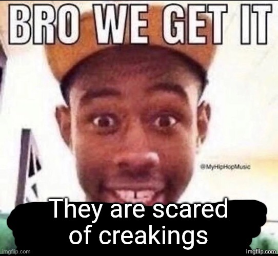 Bro we get it (blank) | They are scared of creakings | image tagged in bro we get it blank | made w/ Imgflip meme maker