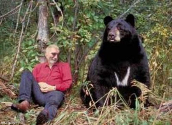 BEAR WITH ME | image tagged in bear with me | made w/ Imgflip meme maker