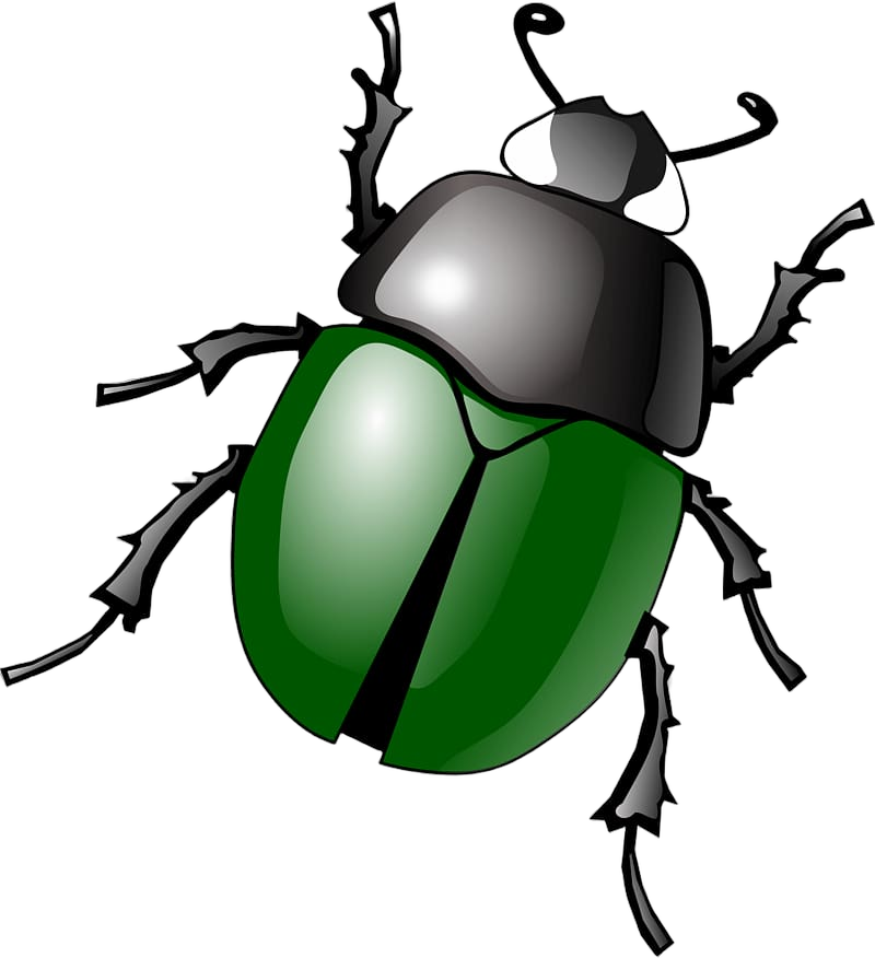 Beetle png Blank Meme Template