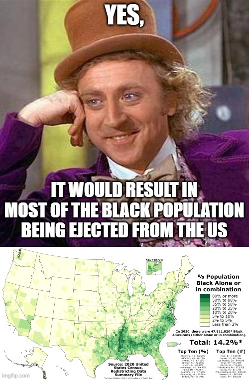 YES, IT WOULD RESULT IN MOST OF THE BLACK POPULATION BEING EJECTED FROM THE US | image tagged in memes,creepy condescending wonka | made w/ Imgflip meme maker