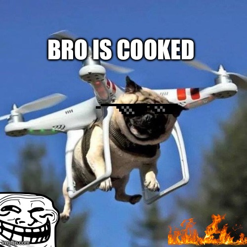 Flying Pug | BRO IS COOKED | image tagged in flying pug | made w/ Imgflip meme maker