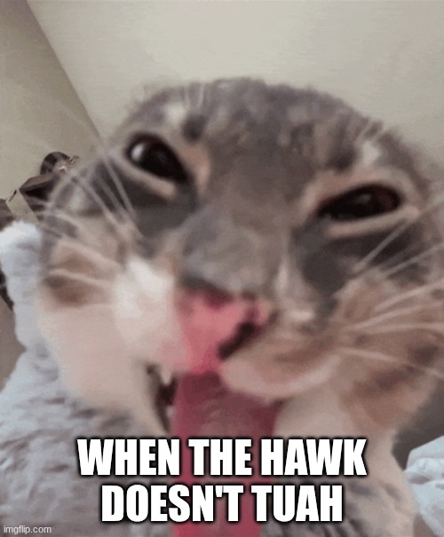 Rigby cat | WHEN THE HAWK DOESN'T TUAH | image tagged in rigby cat | made w/ Imgflip meme maker