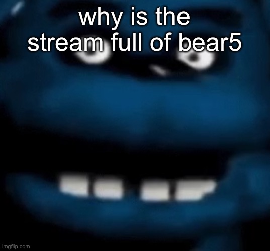 bear5 | why is the stream full of bear5 | image tagged in bear5 | made w/ Imgflip meme maker