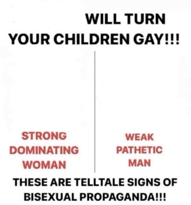 Bisexual propaganda Blank Meme Template