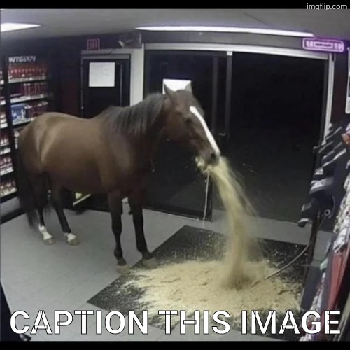 Balls | CAPTION THIS IMAGE | made w/ Imgflip meme maker