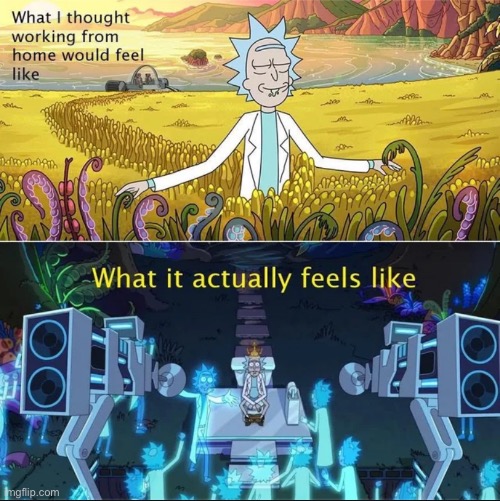 It’s more stressful than regular work | image tagged in rick and morty,working from home,reddit,repost | made w/ Imgflip meme maker