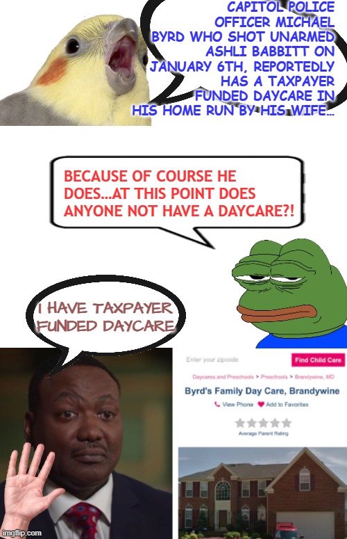 Capitol police officer Michael Byrd who shot unarmed Ashli Babbitt, reportedly has a taxpayer funded daycare at home | CAPITOL POLICE OFFICER MICHAEL BYRD WHO SHOT UNARMED ASHLI BABBITT ON JANUARY 6TH, REPORTEDLY HAS A TAXPAYER FUNDED DAYCARE IN HIS HOME RUN BY HIS WIFE…; BECAUSE OF COURSE HE DOES…AT THIS POINT DOES ANYONE NOT HAVE A DAYCARE?! I HAVE TAXPAYER FUNDED DAYCARE | image tagged in taxpayer funded daycare,fraud,corruption,j6,democrat house of cards,accountability | made w/ Imgflip meme maker