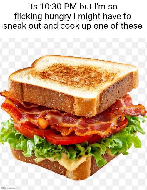 Its 10:30 PM but I'm so flicking hungry I might have to sneak out and cook up one of these | made w/ Imgflip meme maker