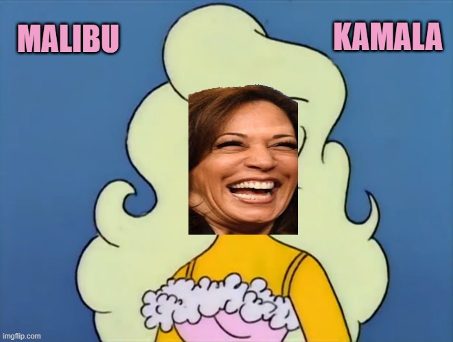 MALIBU KAMALA | KAMALA; MALIBU | image tagged in malibu stacy,kamala harris,democratic socialism,communist socialist,climate change,anti-overpopulating | made w/ Imgflip meme maker