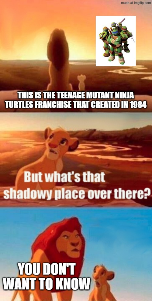 When was the Teenage Mutant Ninja Turtles franchise invented? | THIS IS THE TEENAGE MUTANT NINJA TURTLES FRANCHISE THAT CREATED IN 1984; YOU DON'T WANT TO KNOW | image tagged in memes,simba shadowy place,funny,tmnt,teenage mutant ninja turtles,nickelodeon | made w/ Imgflip meme maker