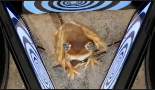 Hypnotized frog Blank Meme Template
