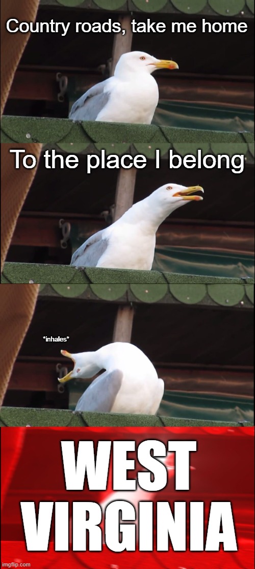 I can hear this meme, and it's deafening. Help. I've made a monster | Country roads, take me home; To the place I belong; *inhales*; WEST VIRGINIA | image tagged in memes,inhaling seagull | made w/ Imgflip meme maker