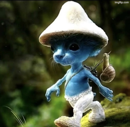 Blue Smurf cat | image tagged in blue smurf cat | made w/ Imgflip meme maker