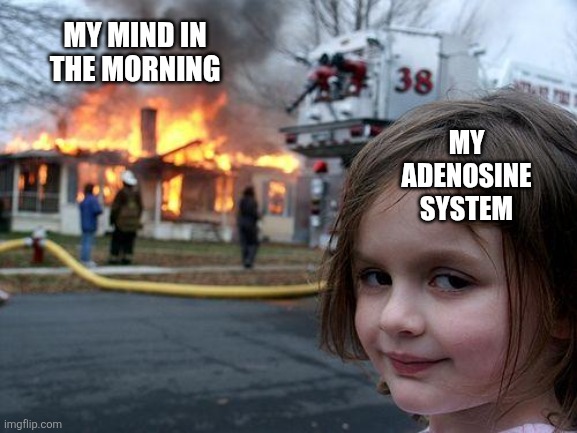Disaster Girl | MY MIND IN THE MORNING; MY
ADENOSINE
SYSTEM | image tagged in memes,disaster girl,adenosine,funny memes,relatable memes,brain | made w/ Imgflip meme maker