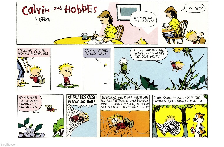 image tagged in calvin and hobbes,comics | made w/ Imgflip meme maker