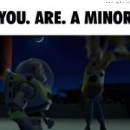 YOU. ARE. A MINOR!!!!!!!! | image tagged in you are a minor | made w/ Imgflip meme maker