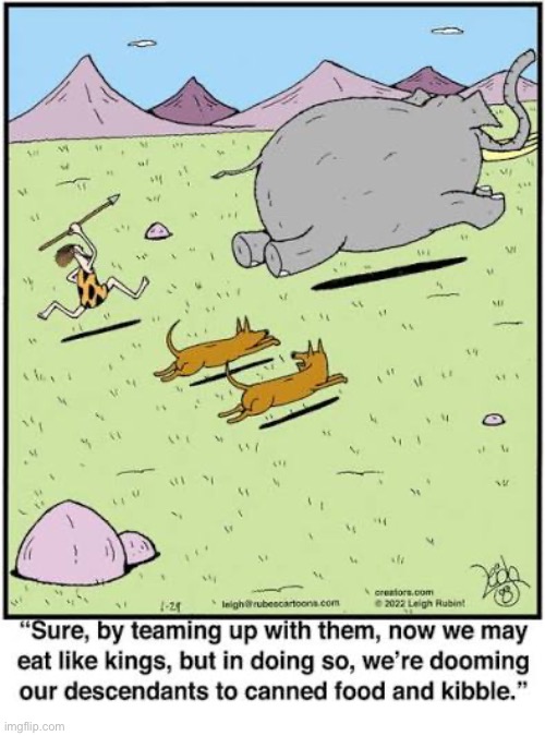 Rubes | image tagged in comics,rubes,prehistoric,cavemen,dogs,future | made w/ Imgflip meme maker