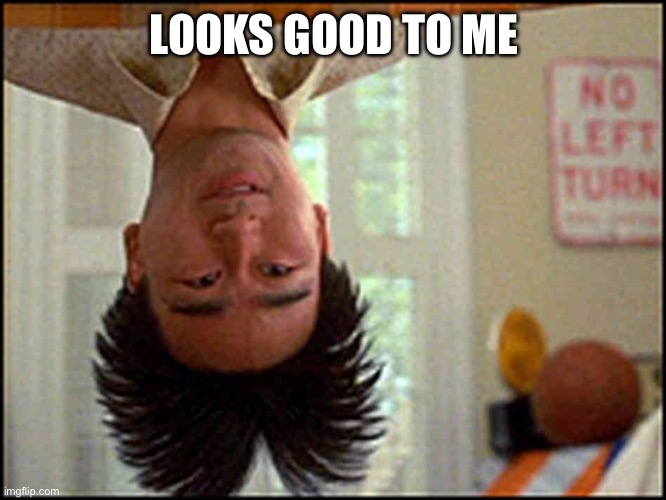 Long Duck Dong (upside down) | LOOKS GOOD TO ME | image tagged in long duck dong upside down | made w/ Imgflip meme maker