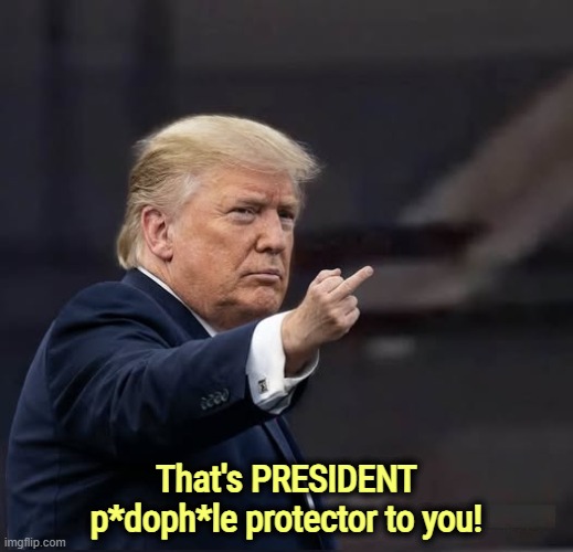 Oh, OK. | That's PRESIDENT p*doph*le protector to you! | image tagged in trump,president,protector,class,vulgar | made w/ Imgflip meme maker
