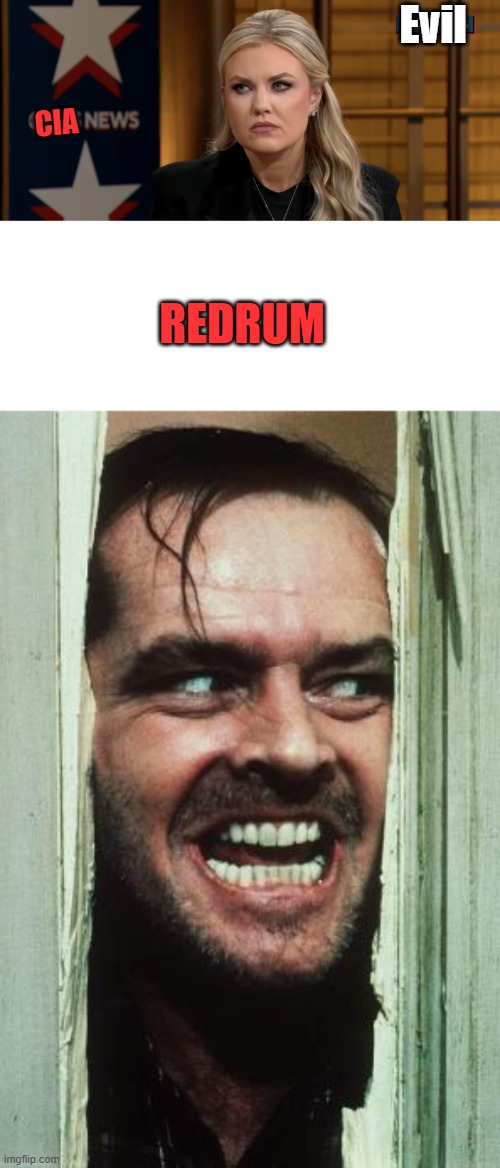 Well? are we having fun yet? | Evil; CIA; REDRUM | image tagged in memes,here's johnny | made w/ Imgflip meme maker