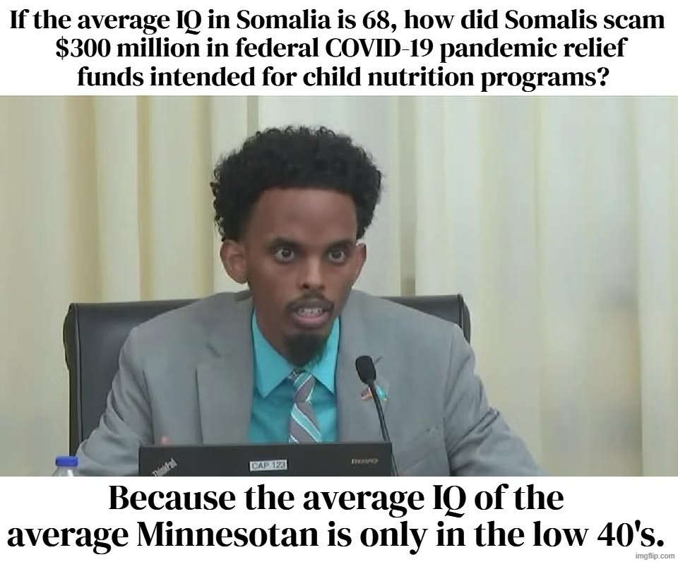 If the average IQ in Somalia is 68, how did Somalis scam $300 million in federal COVID-19 pandemic relief funds? | image tagged in somalia,trust me i have 15 iq,low iq,full retard,stupid liberals,retarded liberal protesters | made w/ Imgflip meme maker