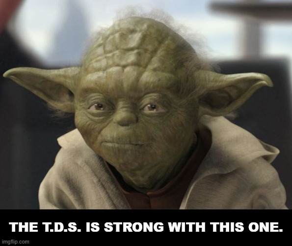 Jedi | THE T.D.S. IS STRONG WITH THIS ONE. | image tagged in jedi,star wars yoda,trump derangement syndrome | made w/ Imgflip meme maker