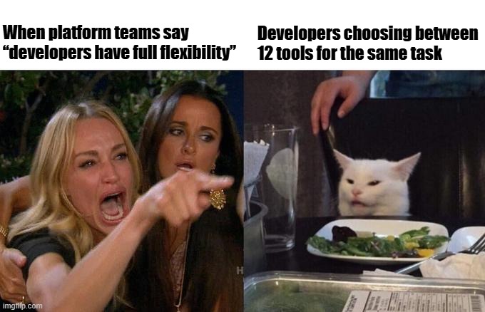 Woman Yelling At Cat Meme | Developers choosing between 12 tools for the same task; When platform teams say “developers have full flexibility” | image tagged in memes,woman yelling at cat | made w/ Imgflip meme maker