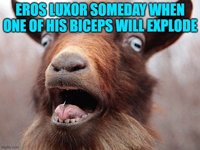 goat screaming | EROS LUXOR SOMEDAY WHEN ONE OF HIS BICEPS WILL EXPLODE | image tagged in goat screaming | made w/ Imgflip meme maker