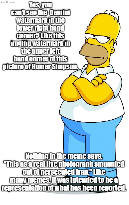 Homer Simpson Arms Crossed - Pff, Fine, pissed | Yes, you can't see the  Gemini watermark in the lower right hand corner? Like this imgflip watermark in the upper left hand corner of this p | image tagged in homer simpson arms crossed - pff fine pissed | made w/ Imgflip meme maker