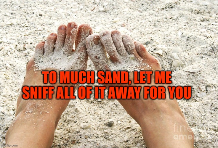 Beach feet | TO MUCH SAND, LET ME SNIFF ALL OF IT AWAY FOR YOU | image tagged in beach feet | made w/ Imgflip meme maker