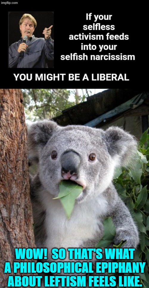 I dunno . . . but somehow I just got a vision of AOC speaking about . . . anything. | WOW!  SO THAT'S WHAT A PHILOSOPHICAL EPIPHANY ABOUT LEFTISM FEELS LIKE. | image tagged in surprised koala | made w/ Imgflip meme maker