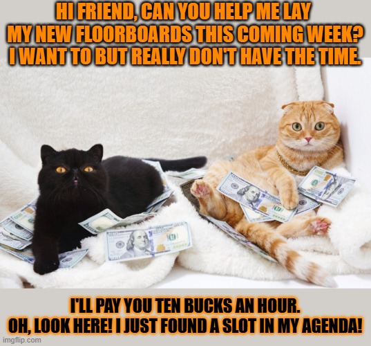 This #lolcat wonders if true friendship could revolve around money | HI FRIEND, CAN YOU HELP ME LAY 
MY NEW FLOORBOARDS THIS COMING WEEK?
I WANT TO BUT REALLY DON'T HAVE THE TIME. I'LL PAY YOU TEN BUCKS AN HOUR.
OH, LOOK HERE! I JUST FOUND A SLOT IN MY AGENDA! | image tagged in money,friendship,lolcat,greed,selfishness | made w/ Imgflip meme maker
