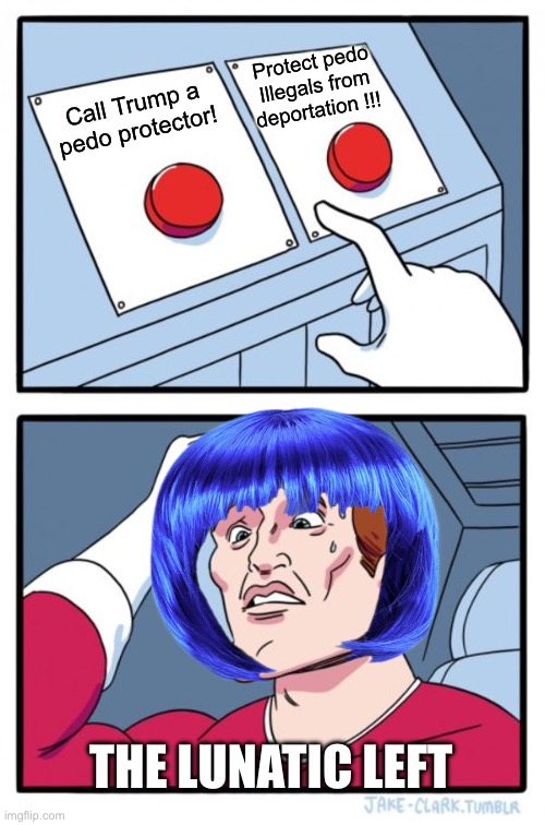 Two Buttons Meme | Protect pedo Illegals from deportation !!! Call Trump a pedo protector! THE LUNATIC LEFT | image tagged in memes,two buttons,hypocrisy,leftist,contradiction | made w/ Imgflip meme maker