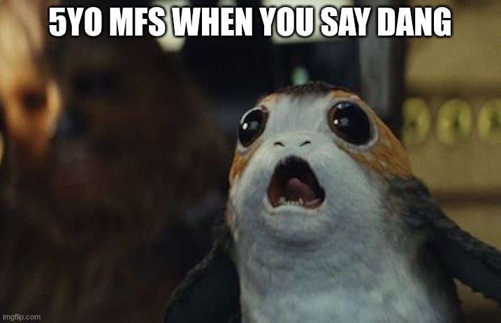 Star Wars Porg | 5YO MFS WHEN YOU SAY DANG | image tagged in star wars porg | made w/ Imgflip meme maker