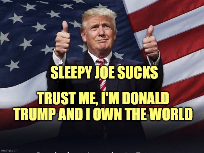 GO TRUMP!! ❤️❤️ | SLEEPY JOE SUCKS; TRUST ME, I'M DONALD TRUMP AND I OWN THE WORLD | image tagged in donald trump thumbs up | made w/ Imgflip meme maker