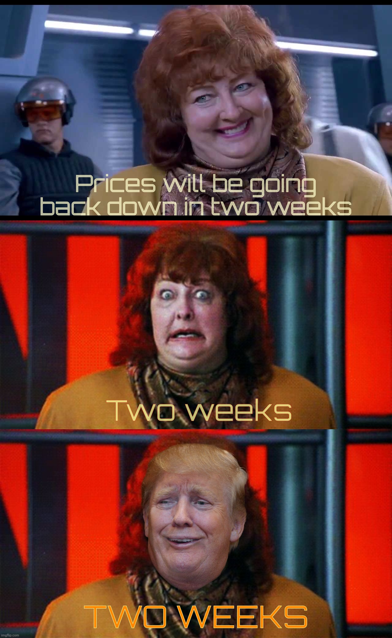 Prices will be going back down in two weeks Two weeks TWO WEEKS | image tagged in two weeks | made w/ Imgflip meme maker