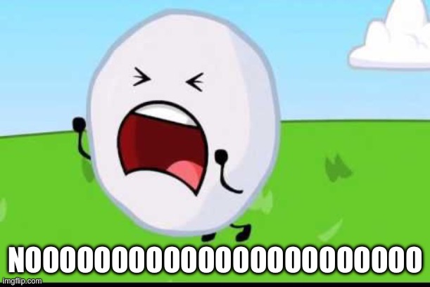 BFDI Snowball NOOOOO | NOOOOOOOOOOOOOOOOOOOOOOO | image tagged in bfdi snowball nooooo | made w/ Imgflip meme maker