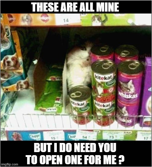 Possession Is 9/10ths Of The Law ! | THESE ARE ALL MINE; BUT I DO NEED YOU
TO OPEN ONE FOR ME ? | image tagged in cats,possession,cat food | made w/ Imgflip meme maker