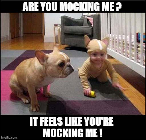 Look Who's Talking ! | ARE YOU MOCKING ME ? IT FEELS LIKE YOU'RE
 MOCKING ME ! | image tagged in dogs,bulldog,child,costume,mocking | made w/ Imgflip meme maker