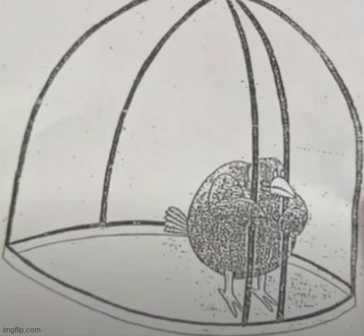 Self-imprisoned bird | image tagged in self-imprisoned bird | made w/ Imgflip meme maker