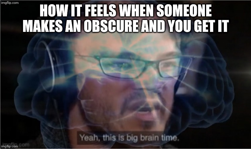 Yeah, this is big brain time with you didn't have to cut me off | HOW IT FEELS WHEN SOMEONE MAKES AN OBSCURE AND YOU GET IT | image tagged in yeah this is big brain time with you didn't have to cut me off | made w/ Imgflip meme maker